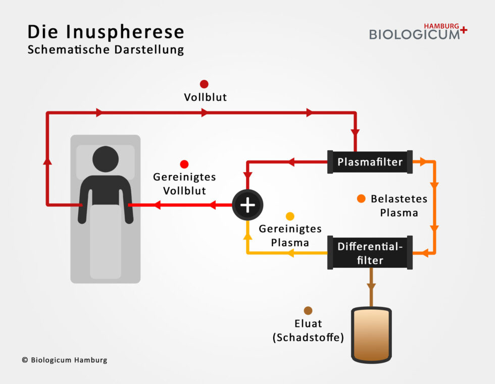 Inuspherese - Biologicum Hamburg