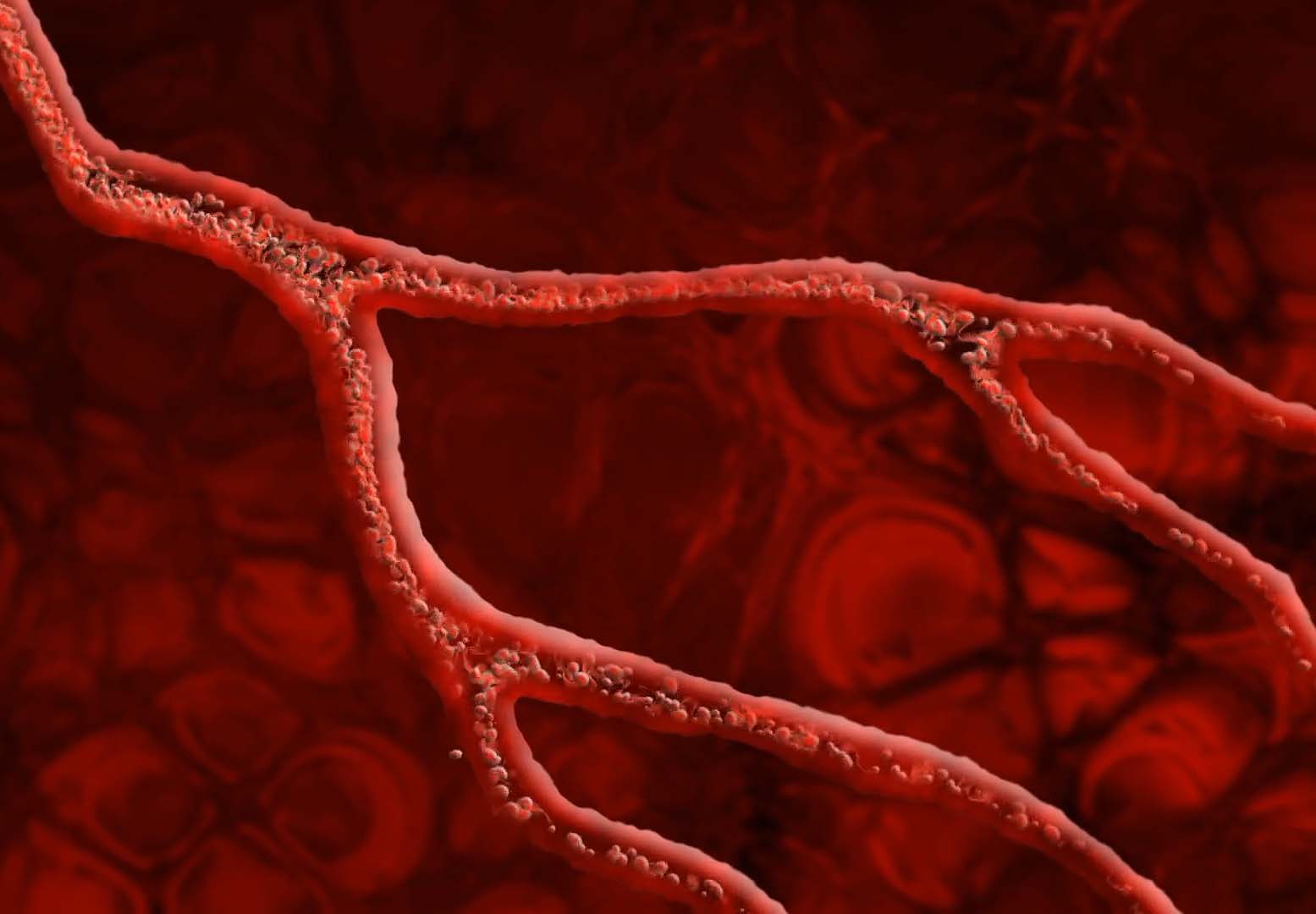 Mikrozirkulation Headerbild