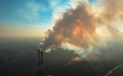 Start 2 Sind Autoimmun- und Krebserkrankungen Folgen von Umweltgiften?