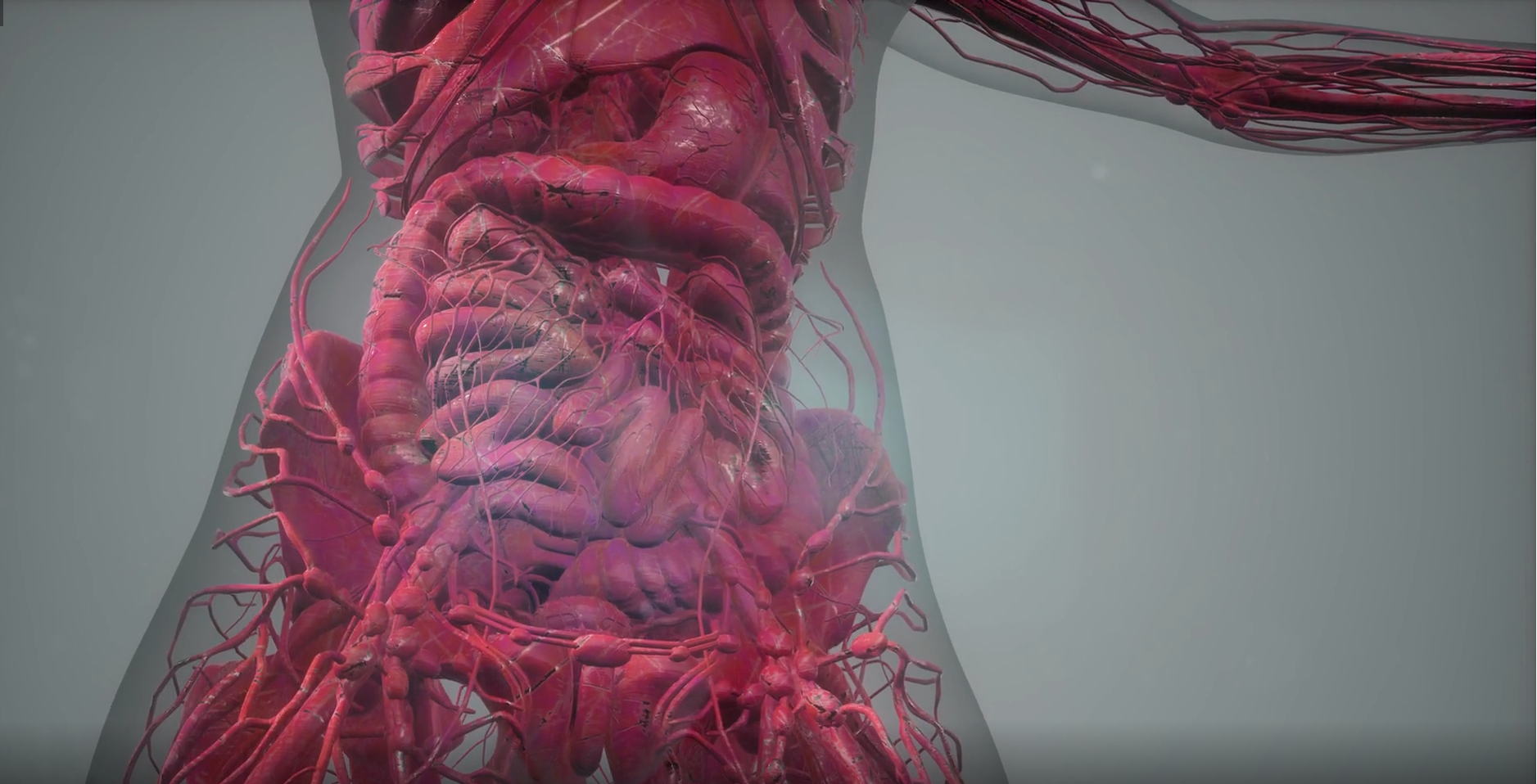 a close up of a human body