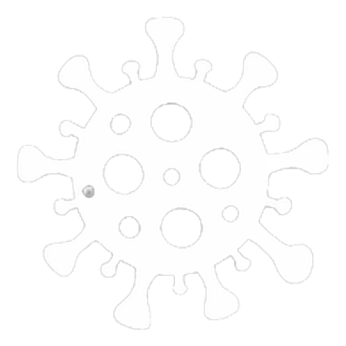 Chronische Infektionen