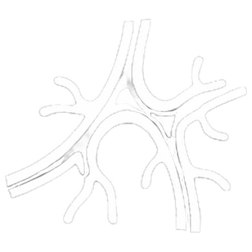 MikrozirkulationIcon2